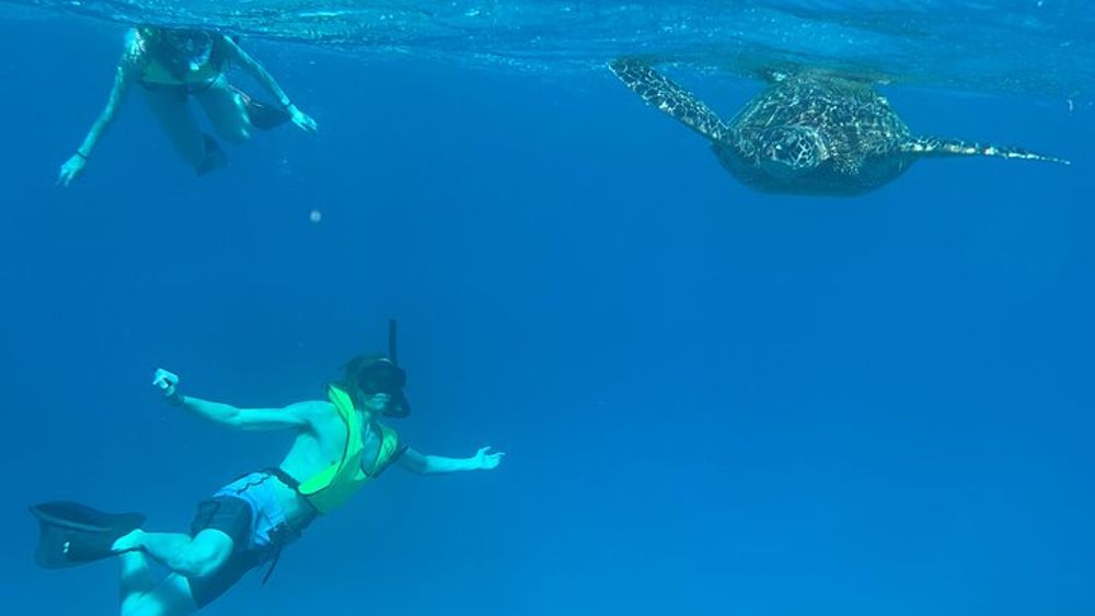 Honolulu Maunalua Bay Snorkel Tour