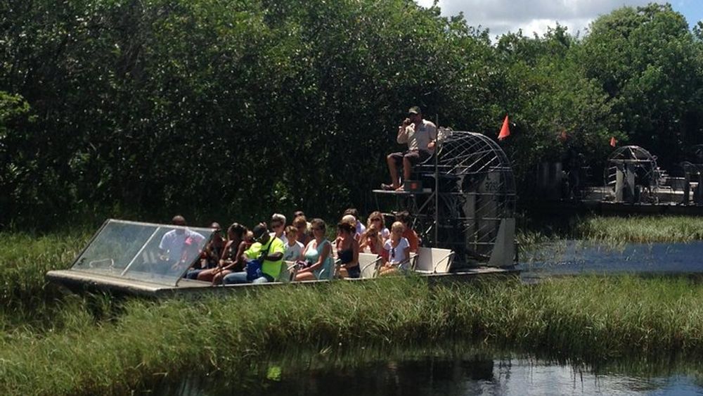 Everglades National Park 3-hour Airboat Tour from Miami