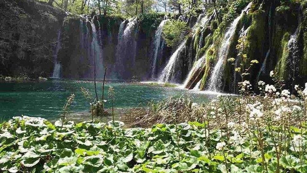 Plitvice Lakes Day Tour from Zadar-TICKET INCLUDED Simple, Safe