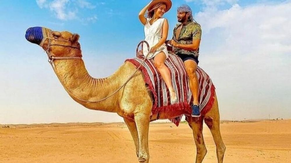Half-Day Private Morning Desert Safari by 4x4 Car