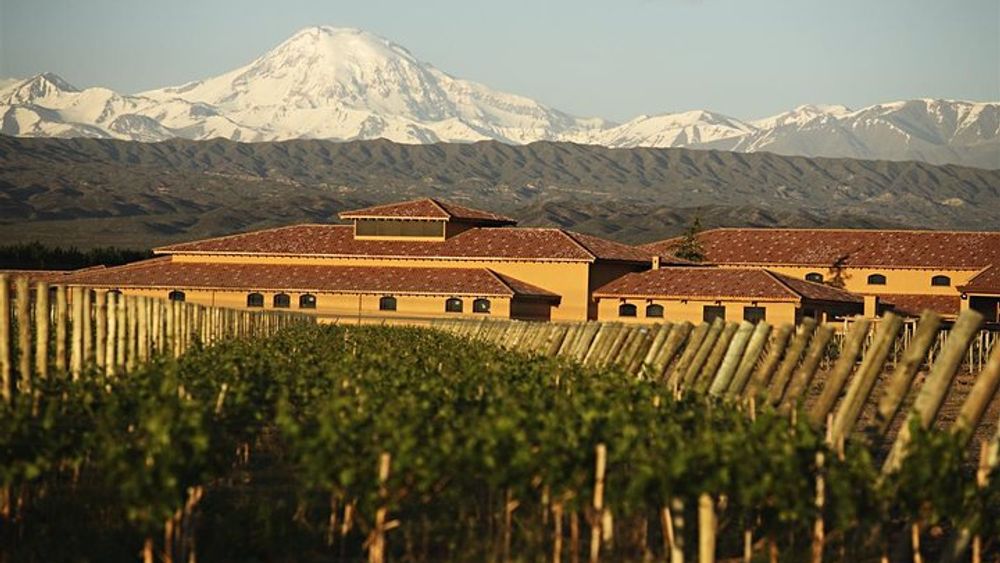 Mendoza 3-Winery Tasting Tour with Argentine Lunch