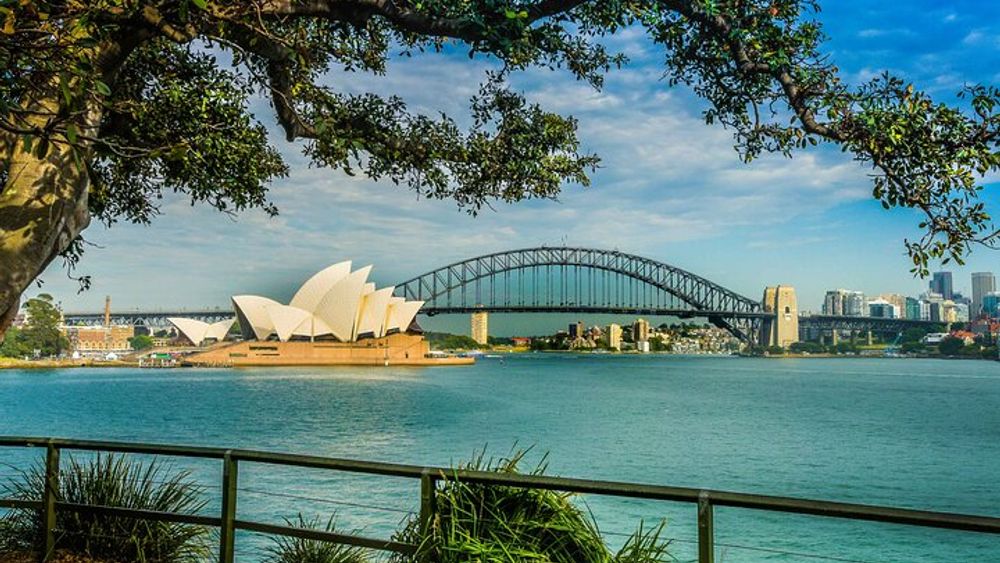 Sydney Combo: Morning Sightseeing to Bondi & Harbour Lunch Cruise