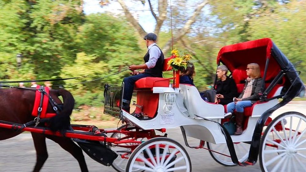 Standard Central Park Horse Carriage Ride (Long Loop - 45 Minutes)