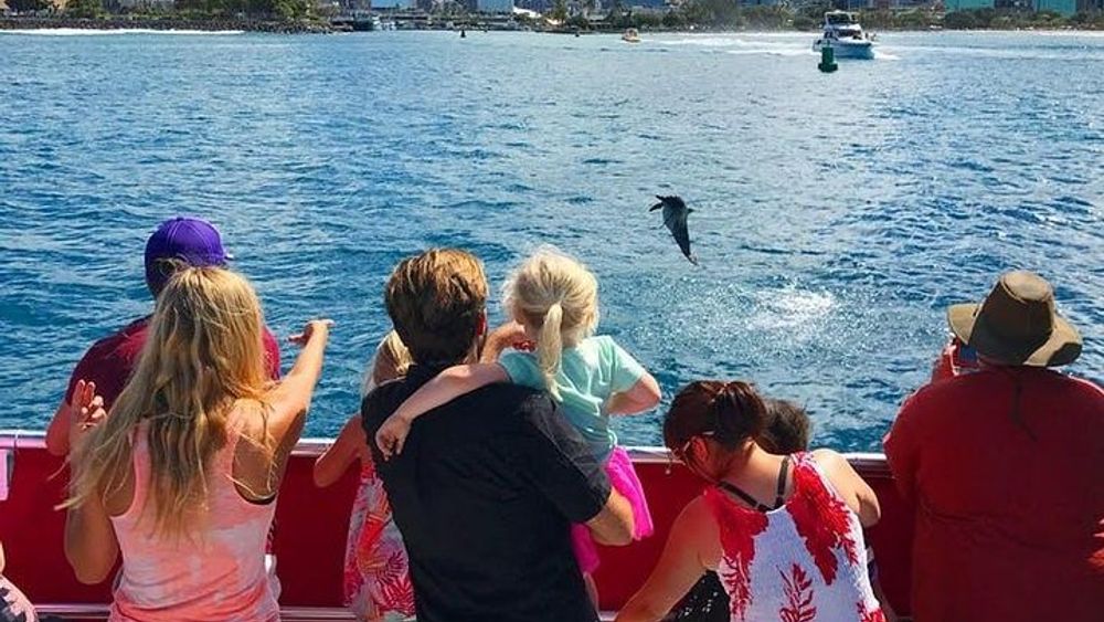 Hawaii | Waikiki Beach Sightseeing Cruise - Glass Bottom Boat