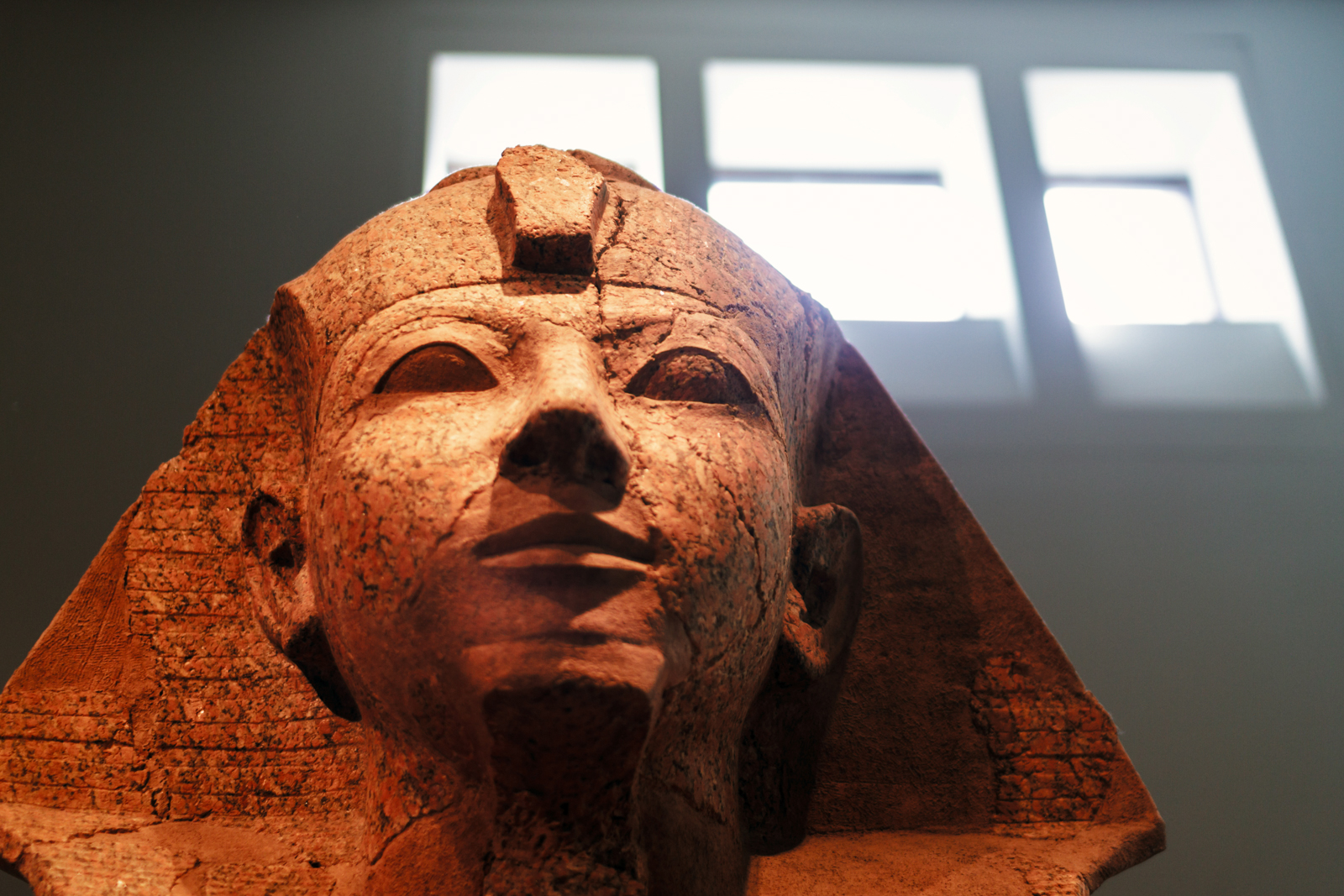 Met Express: Highlights of the Metropolitan Museum of Art