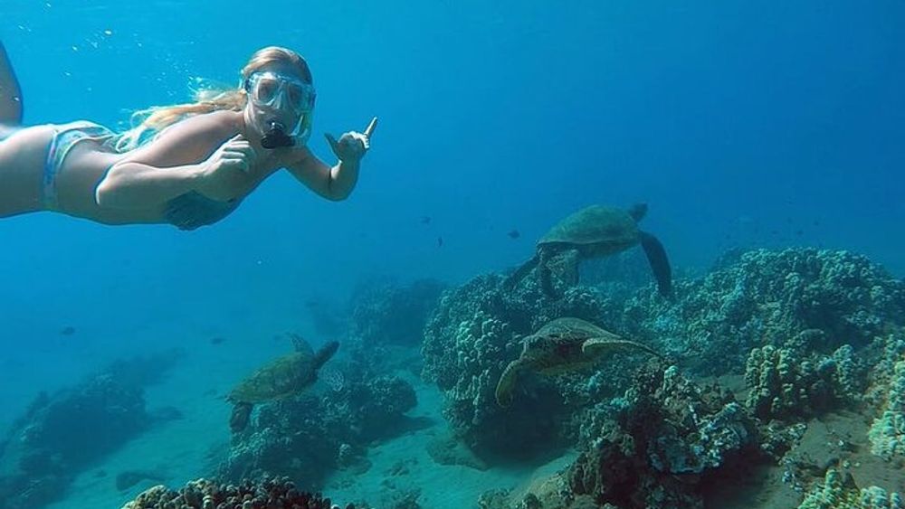San Juan Guided Snorkel Tour