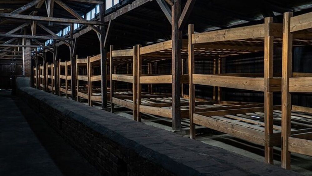 Auschwitz and Birkenau Guided Bus Tour from Krakow