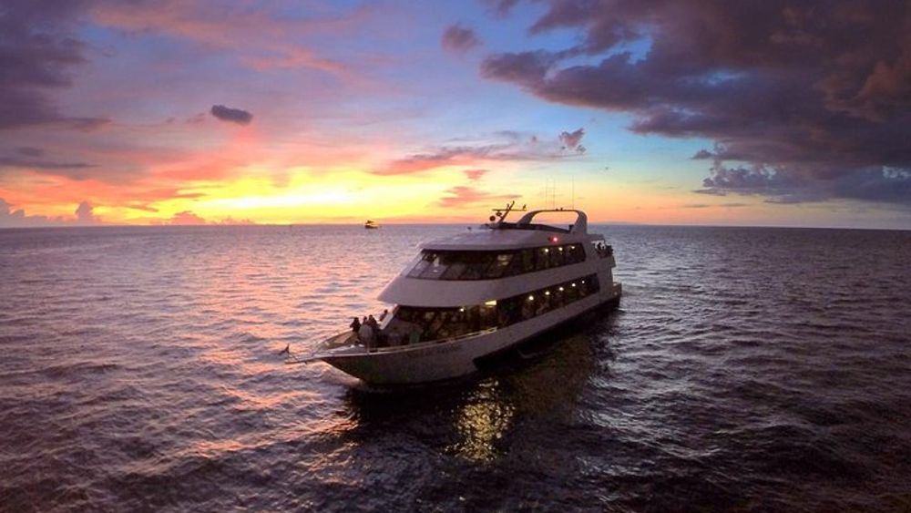 Tampa Bay Dinner Cruise from St. Petersburg with Dance Floor
