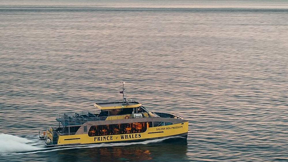 Victoria Sunset Whale-Watching Catamaran Sailing Tour