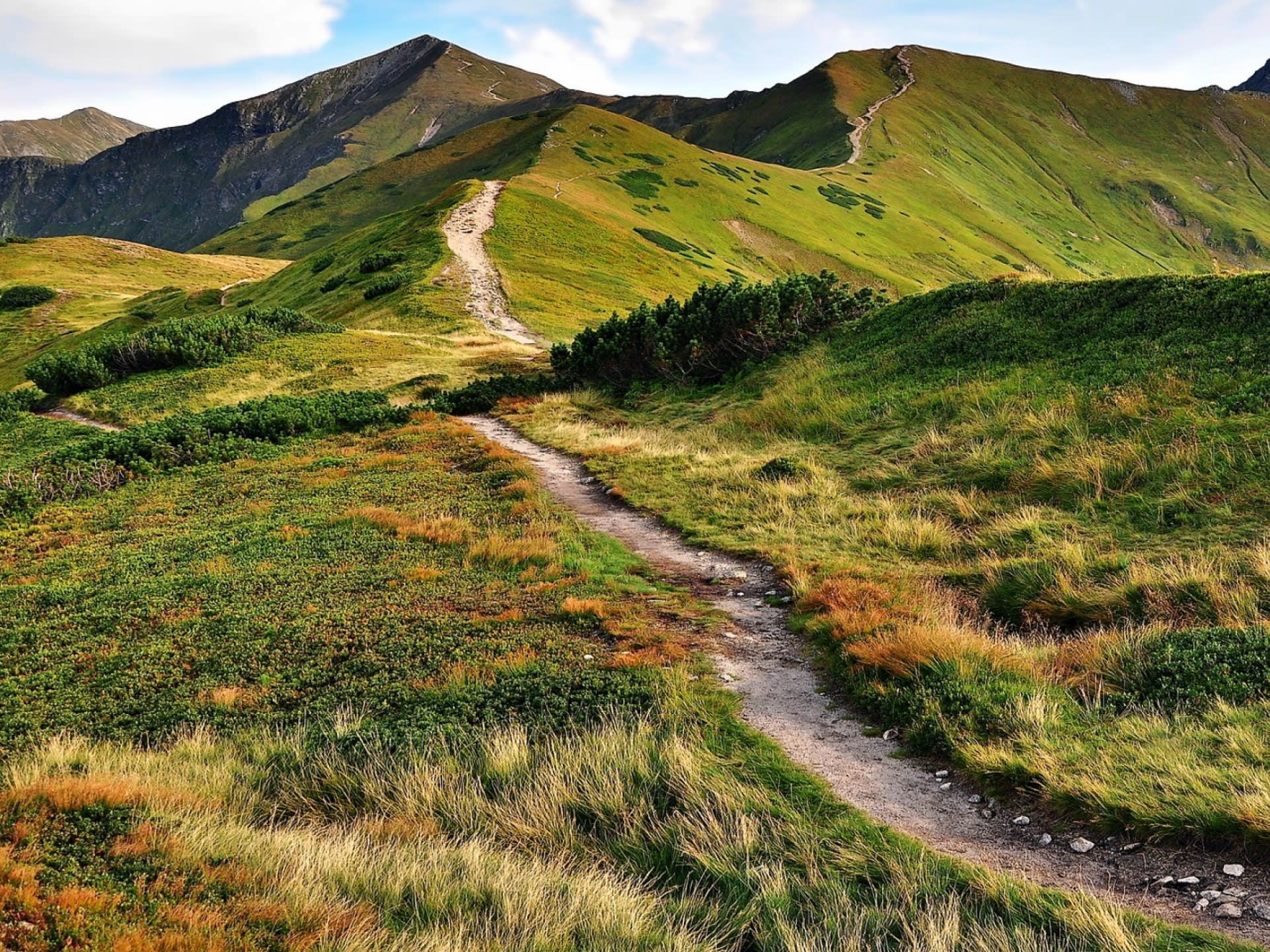 Public One day Tatra Mountains and Zakopane Discovery Tour ex Krakow