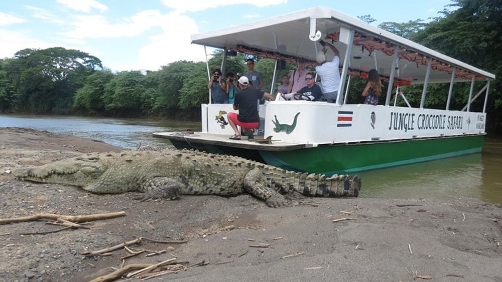 Jungle Crocodile Safari and Bird Watching Tour