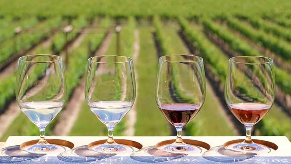 Toronto: Niagara-on-the-Lake, Winery and Chocolate Tour