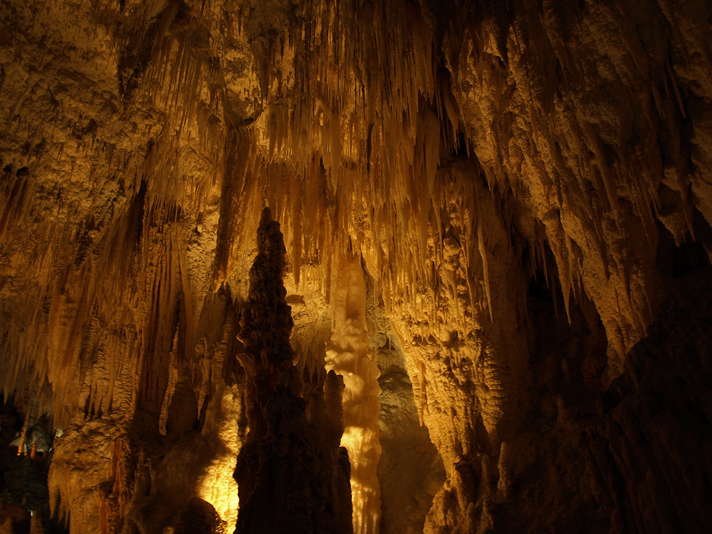Auckland to Rotorua via Waitomo Tour with Transfer & Lunch