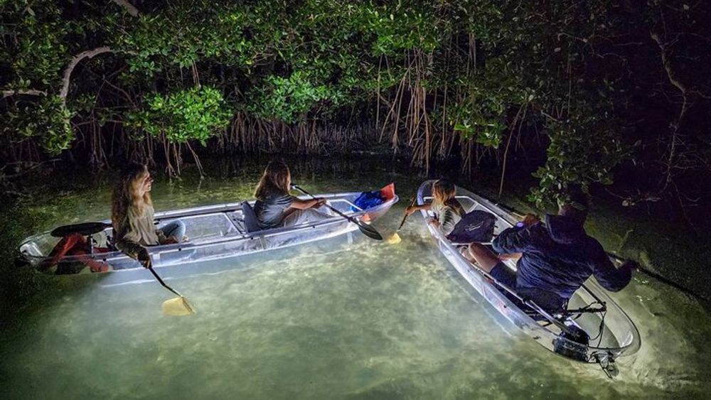 Clear Kayak LED Night Glass Bottom Tour - Siesta Key, FL