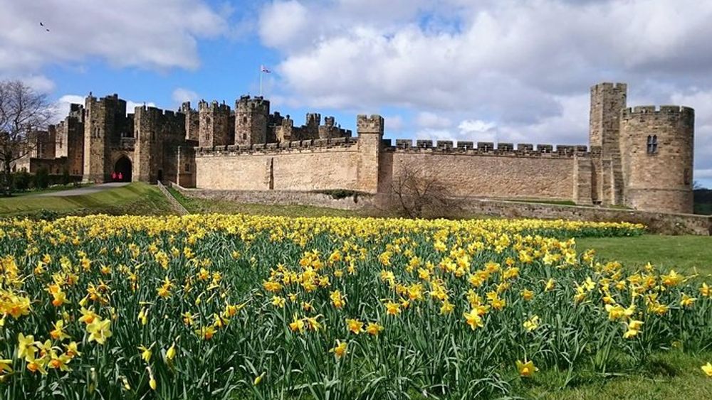 Borders and Alnwick Castle Tour from Edinburgh