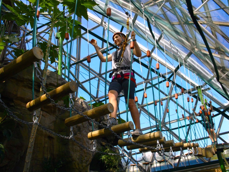Wildlife Dome Entry