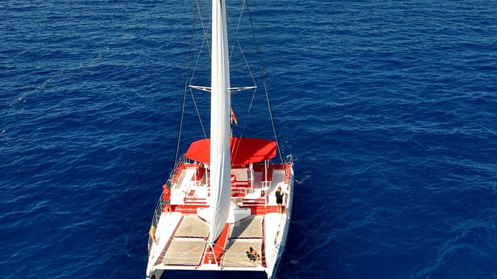 Tenerife Whale and Dolphin Watching and Listening Tour
