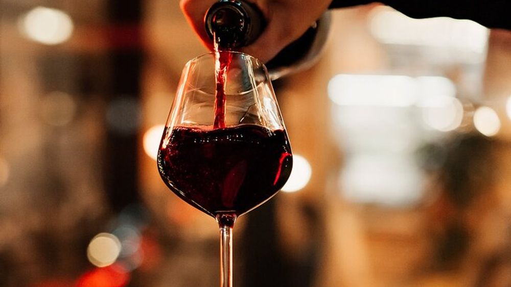 Wine Trip in Yerevan
