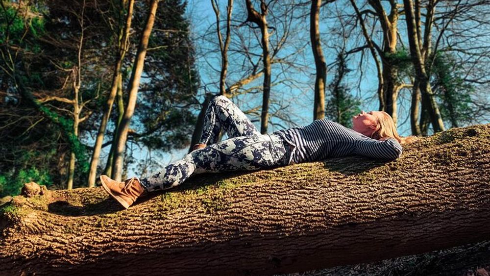 Brighton Forest Bathing and Yoga in Stanmer Park