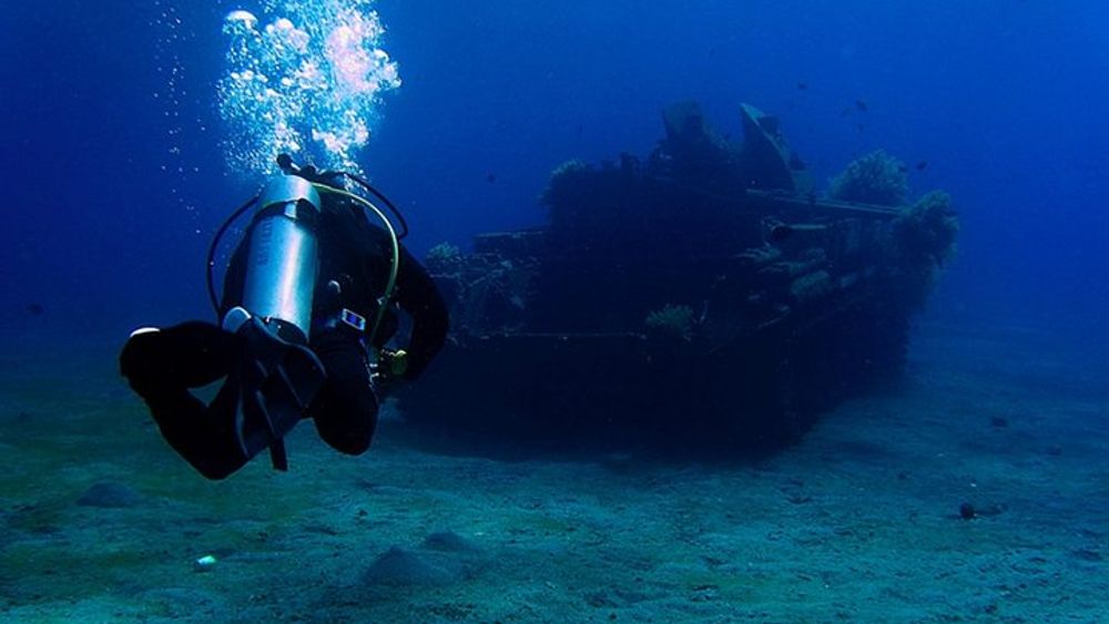 Discover the coral reefs in Aqaba - Scuba experience for beginners