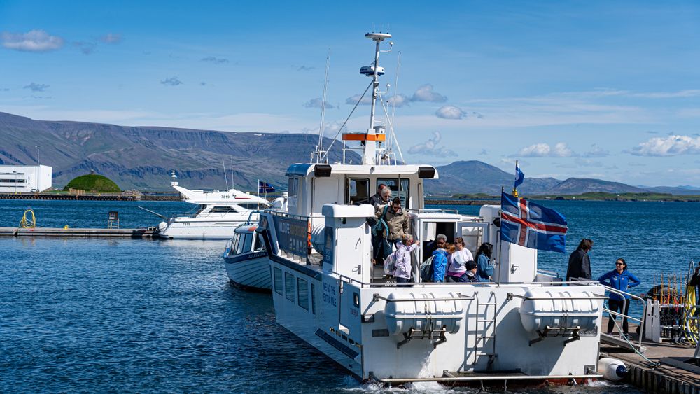 Whale Watching tour from Reykjavik