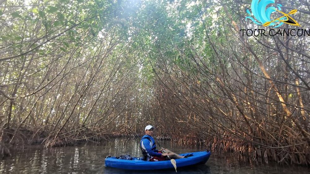 Kayak Tour in Laguna Nichupte Cancun
