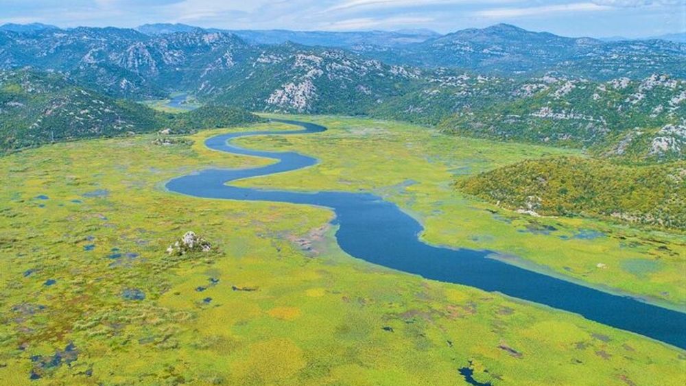 Montenegro Half-Day Boat Tour on Lake Skadar
