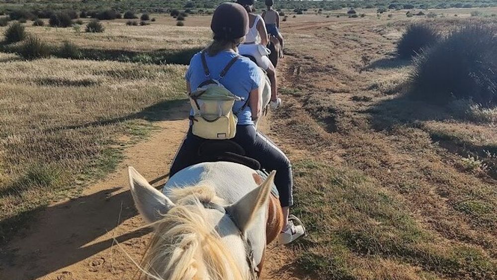 From Albufeira: Half-Day Hidden Gems & Horse Riding Tour