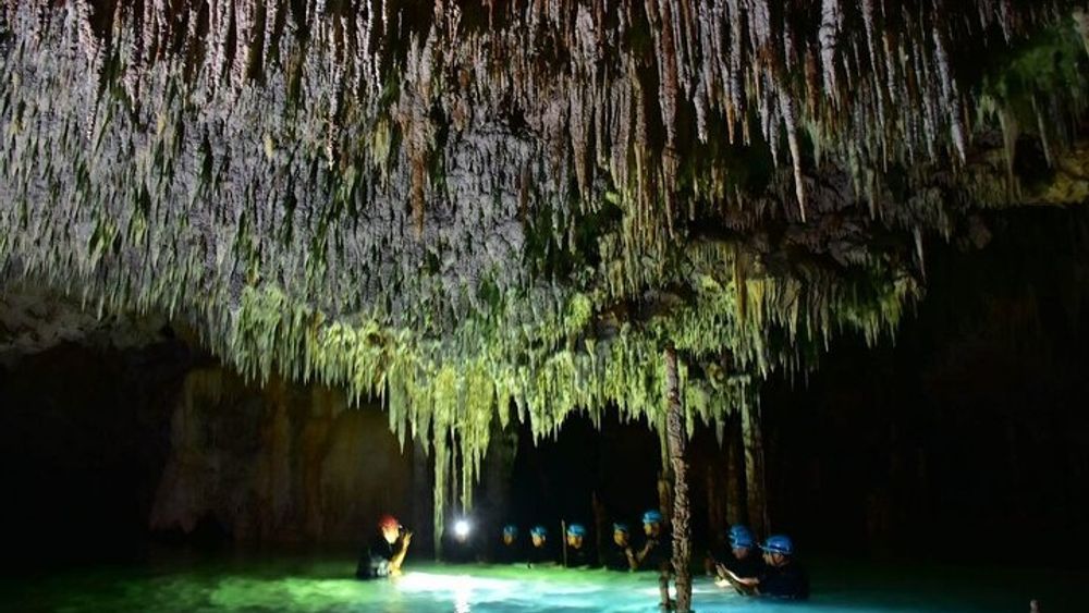 Tulum Secret River Tour