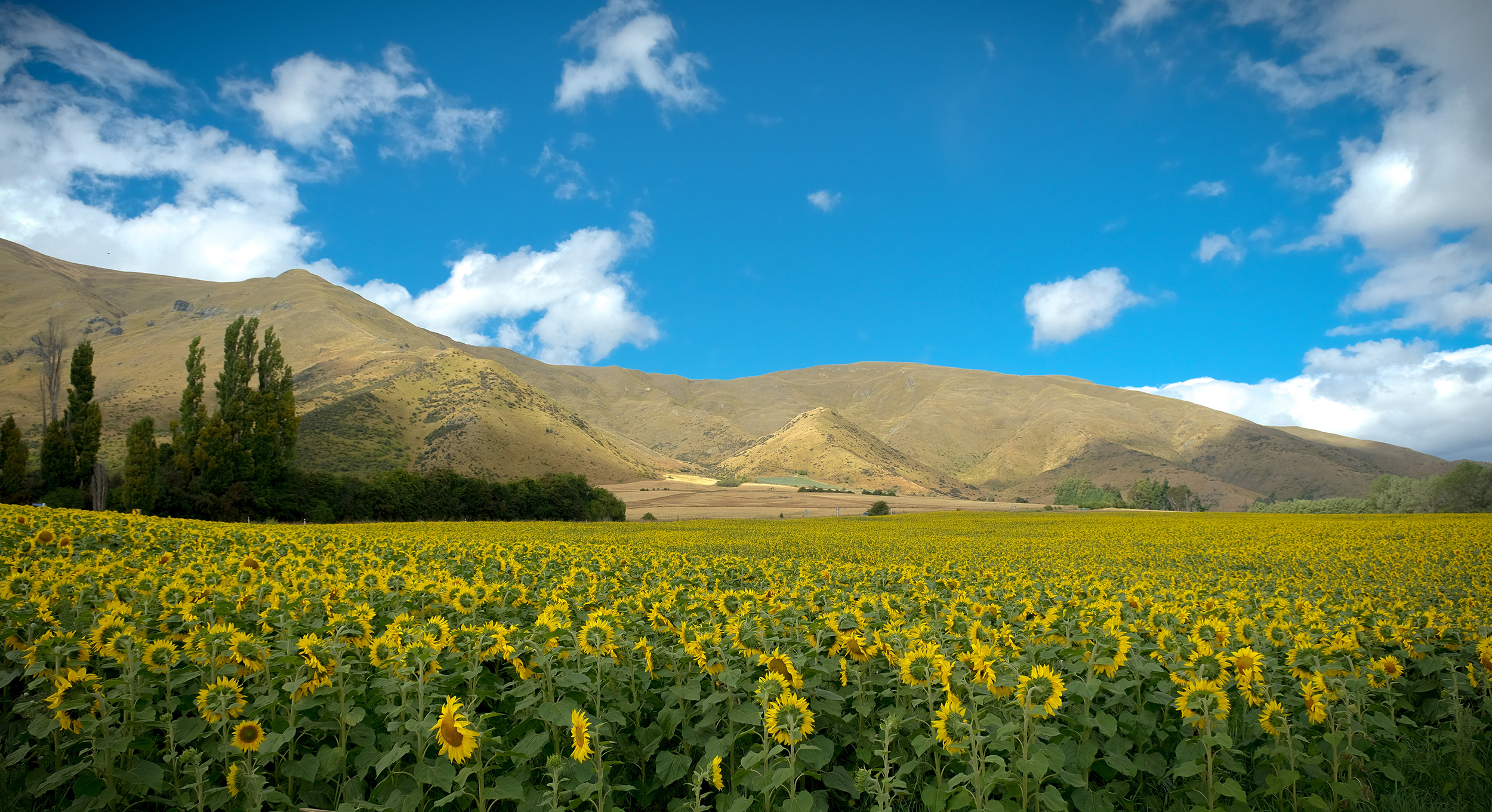 Wanaka Overnighter: 1 Night Accommodation for Two