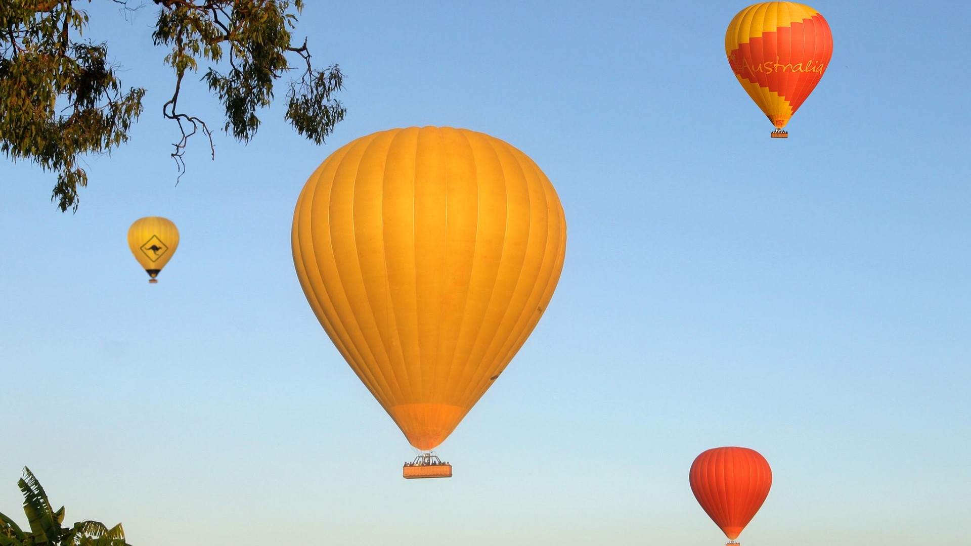 Northern Beach Classic Hot Air Balloon flight