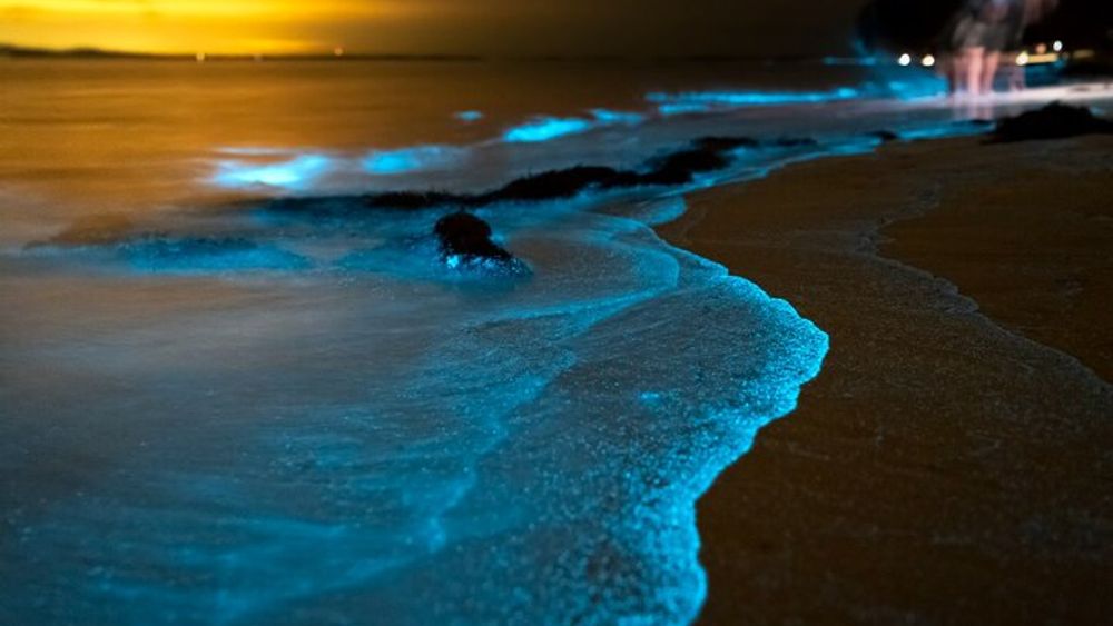 Phuket: Phang Nga Bay Bioluminescent Plankton and Sea Canoes tour
