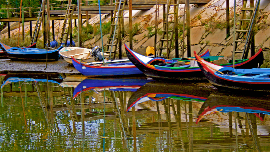 Tagus Vineyards: Tagus Region Wine Tour