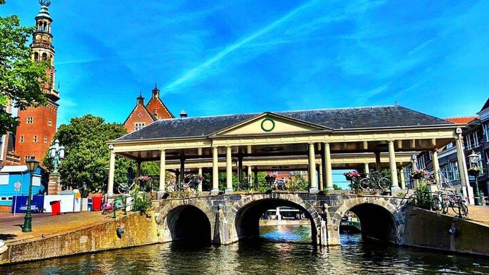 Leiden City Tour with Live guide in Netherlands