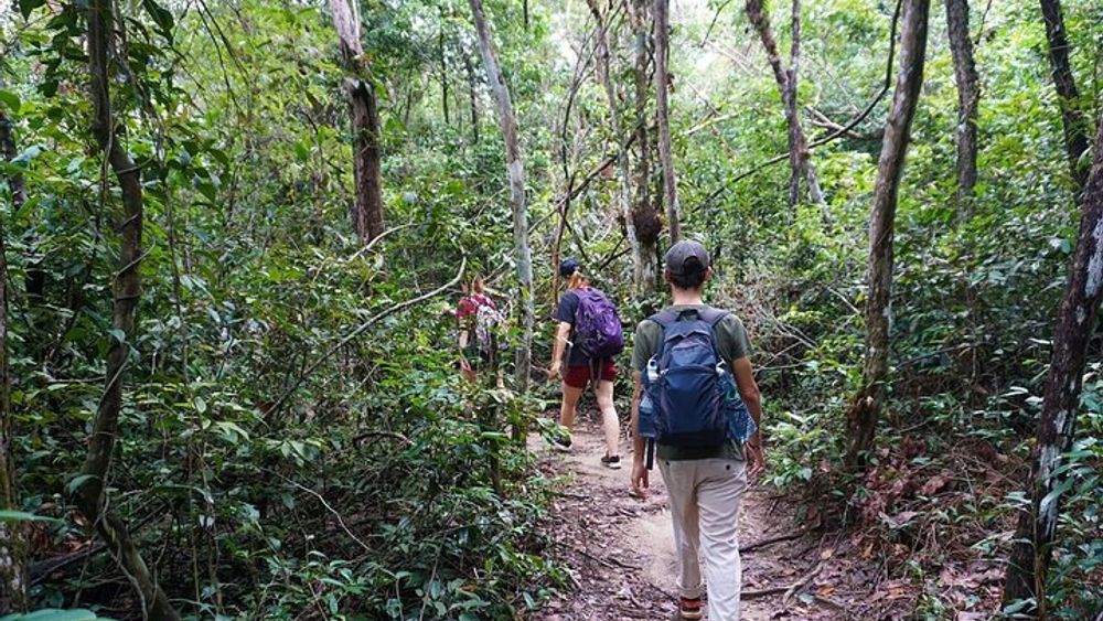 Jungle Trekking Tour at Phnom Kulen National Park from Siem Reap