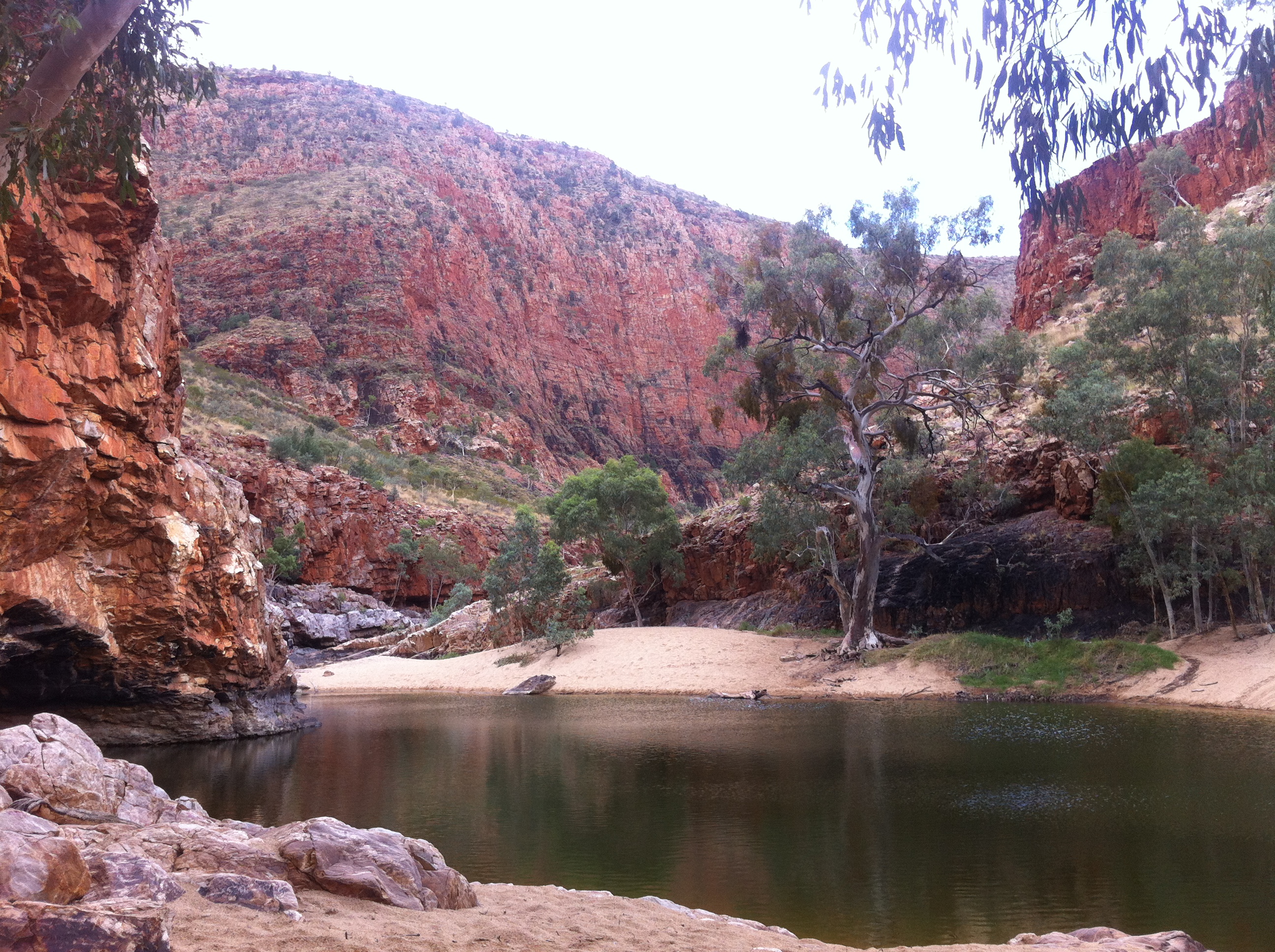 Loud & Proud - West Mac' Ranges & Hermannsburg - Private Tour - 4WD - Full Day