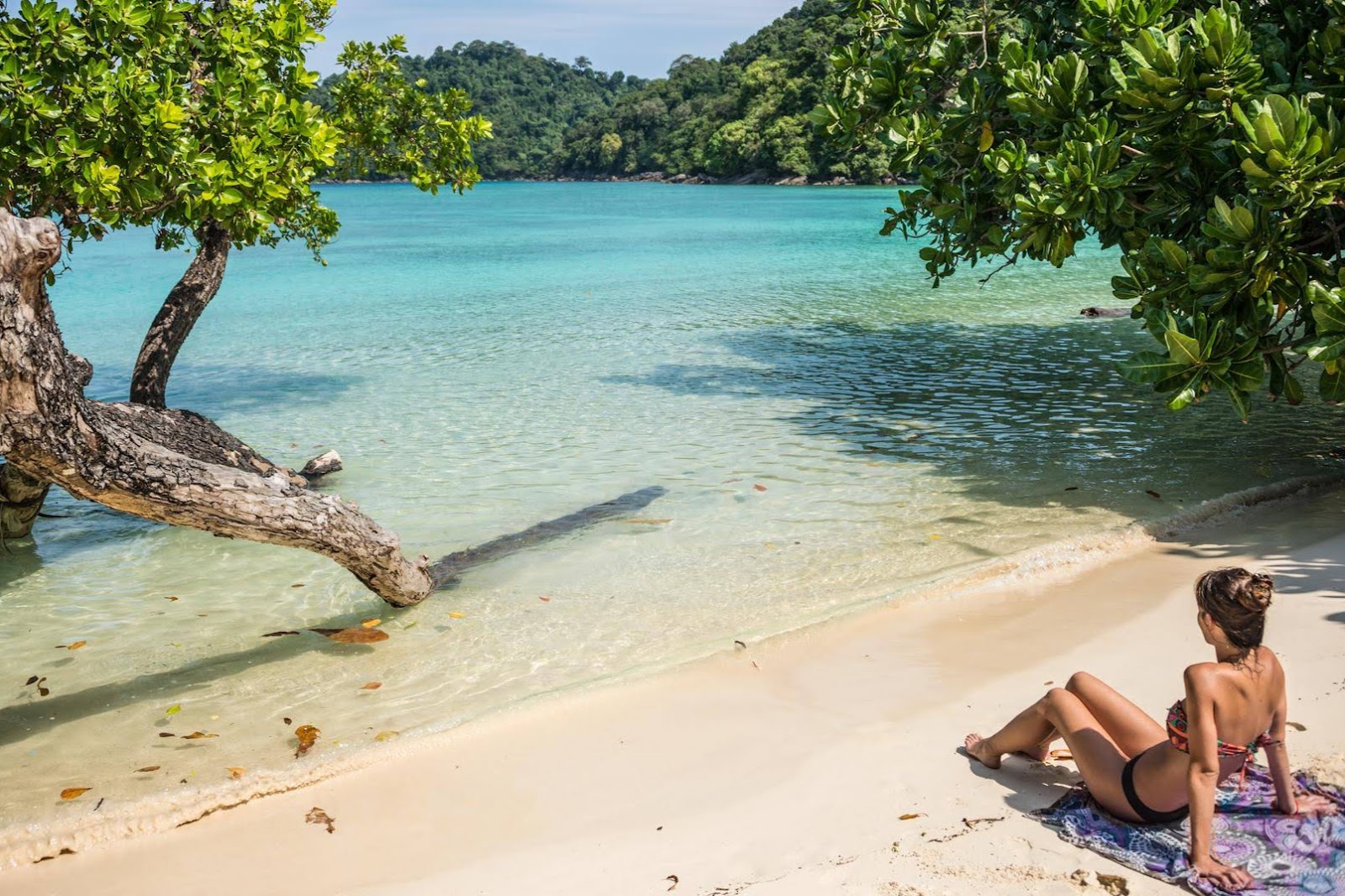 Snorkel Tour to Surin Islands by Fantastic Similan Travel from Phuket