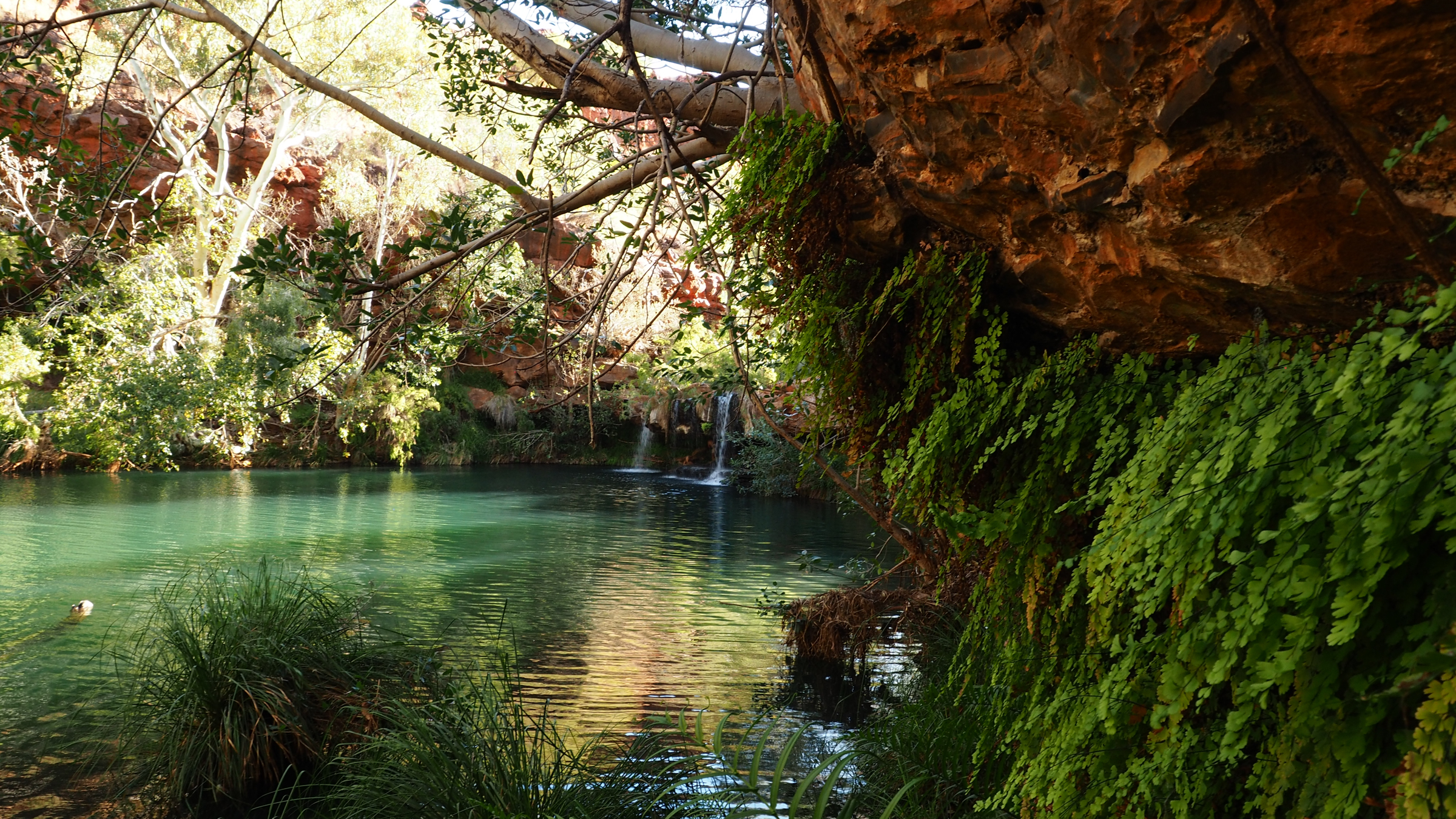 Karijini Range to Ningaloo Reef Photography Tour