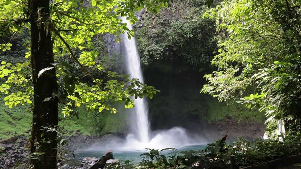 Arenal Volcano: Hanging Bridges, Waterfall, Lava Field Hike