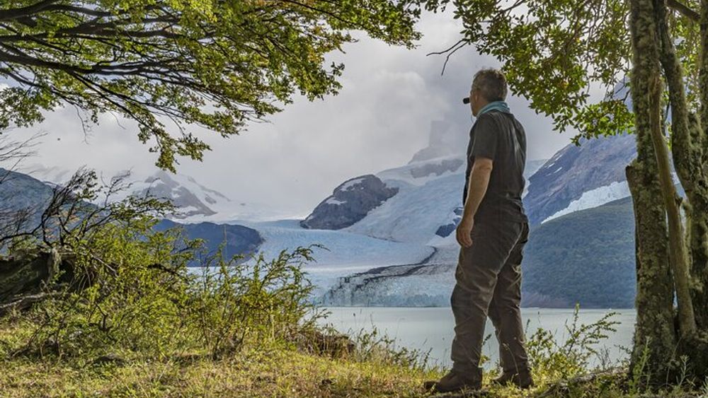 Full-Day Tour Through Glaciers Upsala and Spegazzini