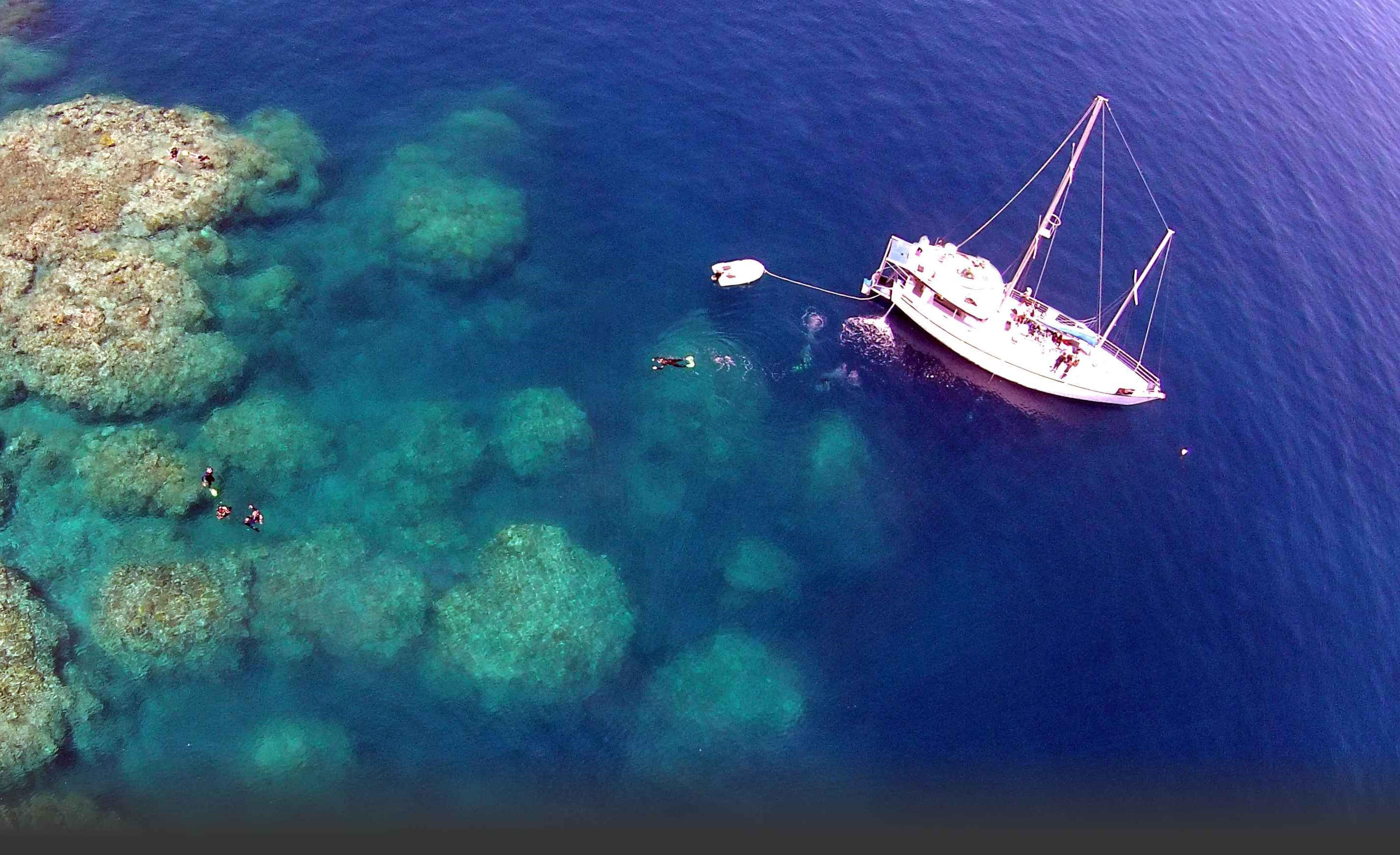 2 Day 1 Night Great Barrier Reef Liveaboard Tour