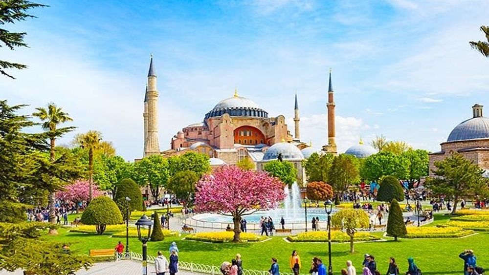 Hagia Sophia Museum, Blue Mosque Small-Group Walking Tour