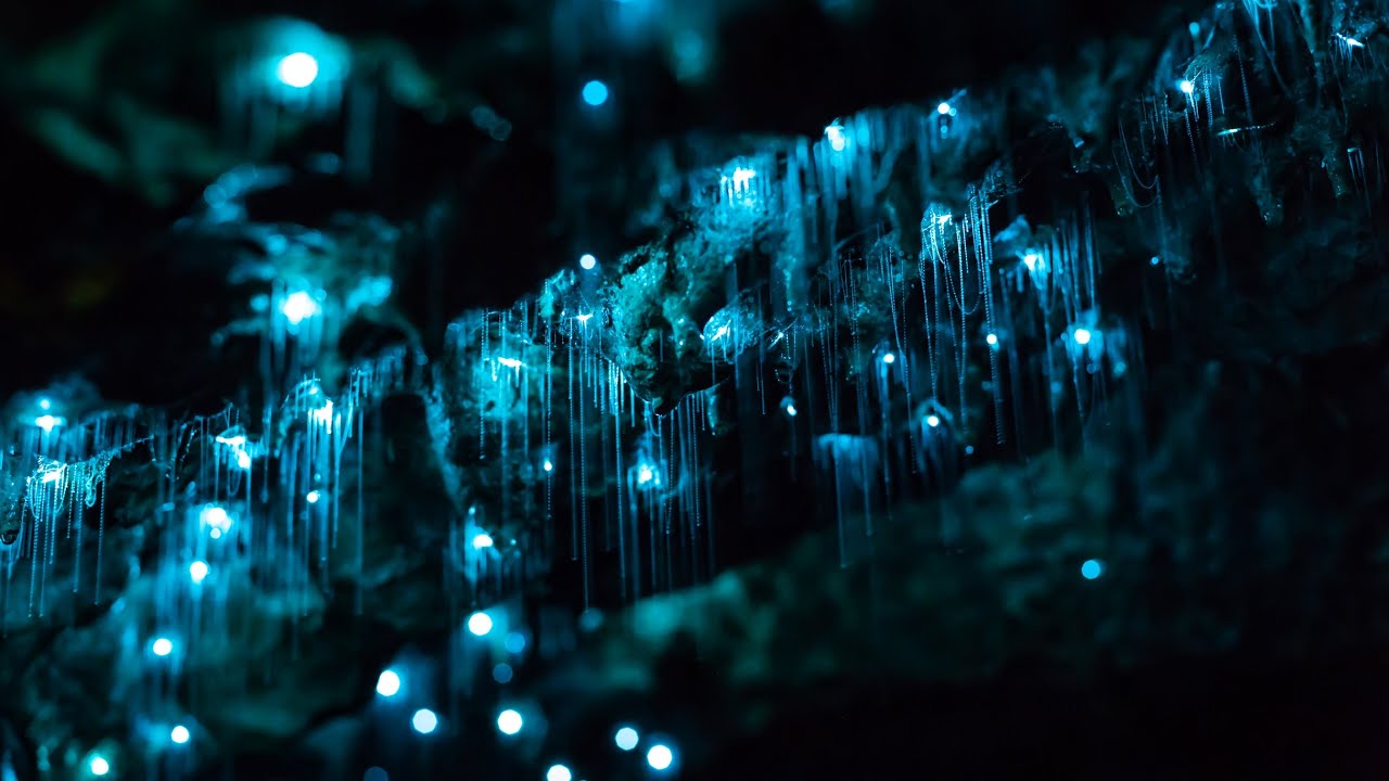 HINTERLAND MAGIC & GLOW-WORM EXPERIENCE