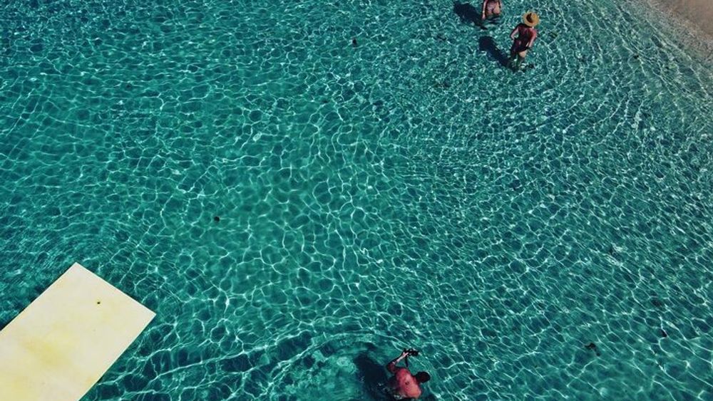 Cozumel Day Pass at San Francisco Beach Club