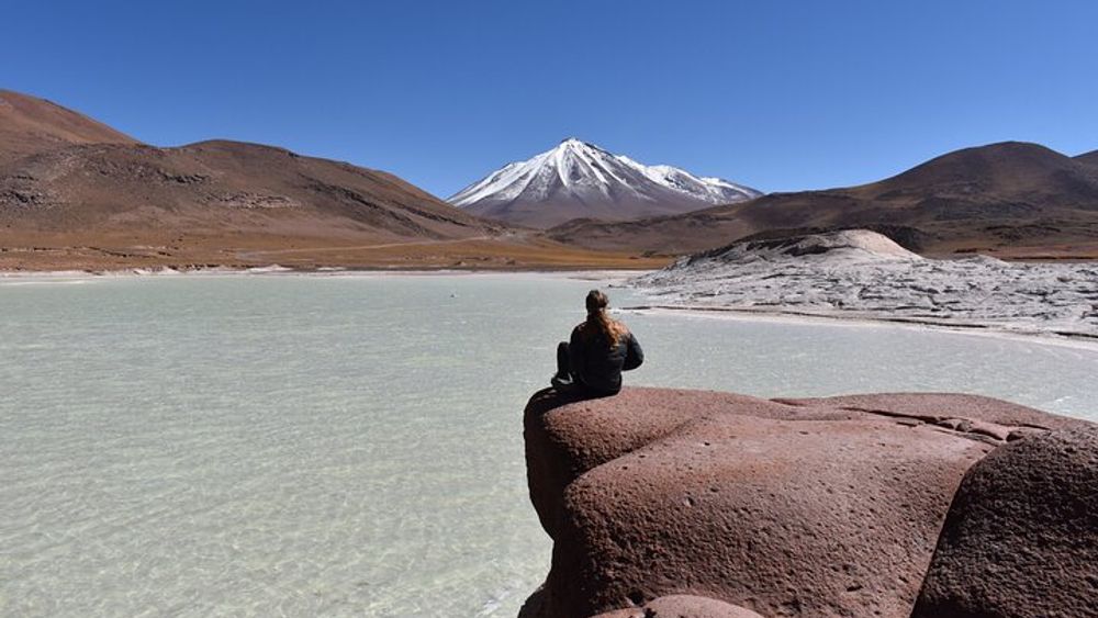 Full Day Tour Piedras Rojas Altiplanic Lagoons Chaxa Lagoon