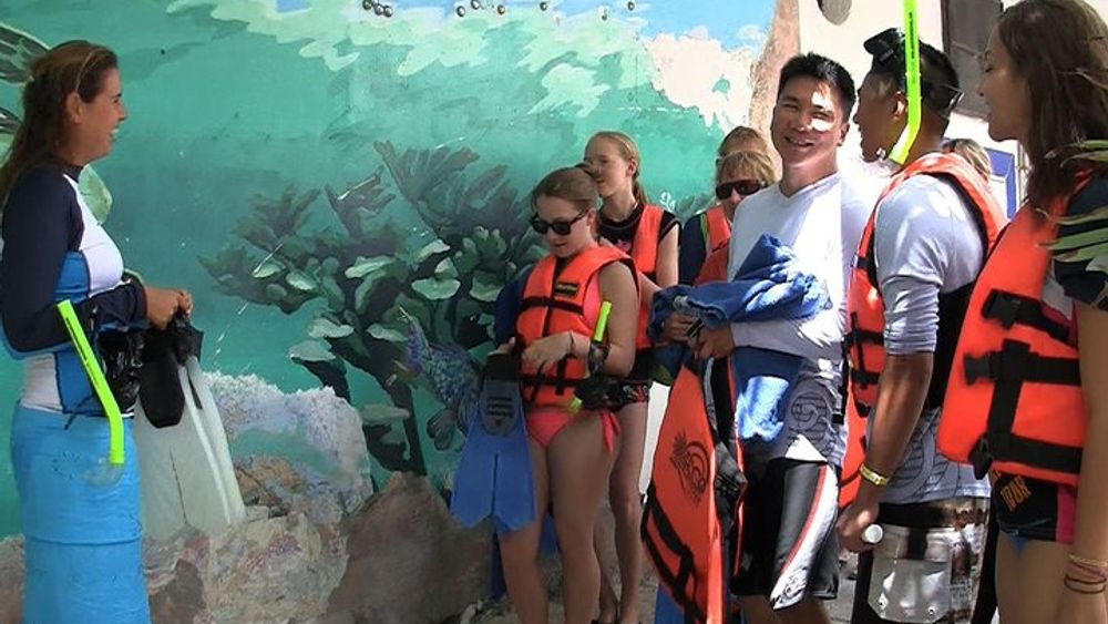 Akumal Sea Turtle Snorkel Experience from Playa del Carmen
