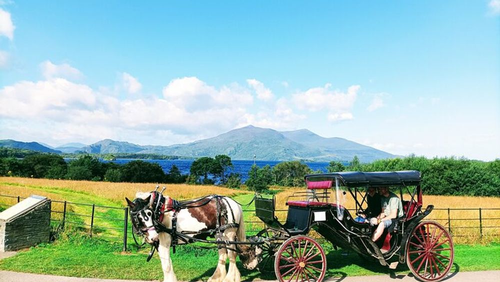 Jaunting Car Tour Killarney