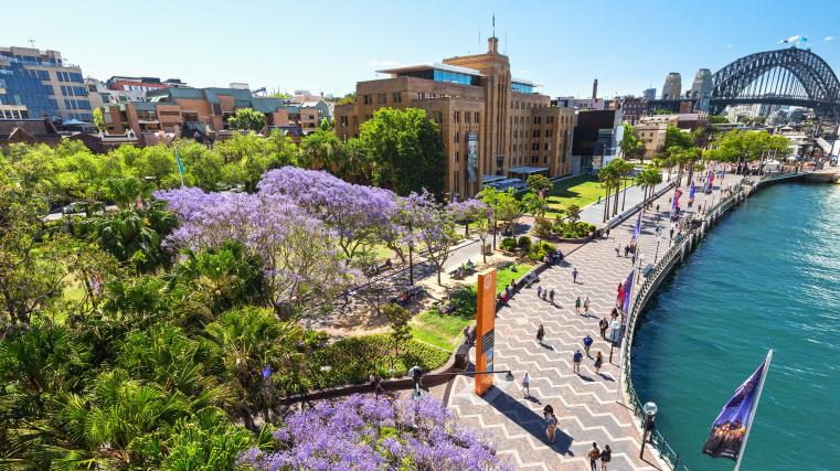 Sydney Highlights - Half Day Private Day Tour