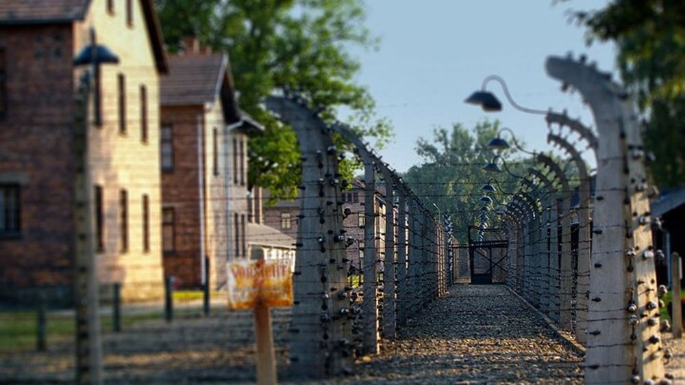 Auschwitz-Birkenau Memorial and Museum Tour & Admission Ticket