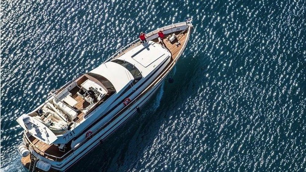 Whale Watching & Dolphin Luxury Yacht Cruise